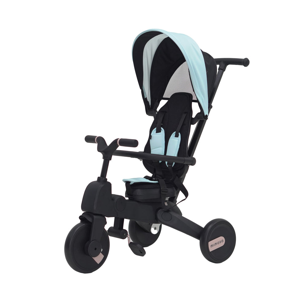 Mimosa 7-in-1 Trike