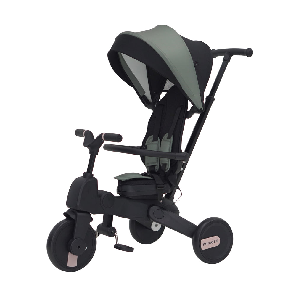 Mimosa 7-in-1 Trike