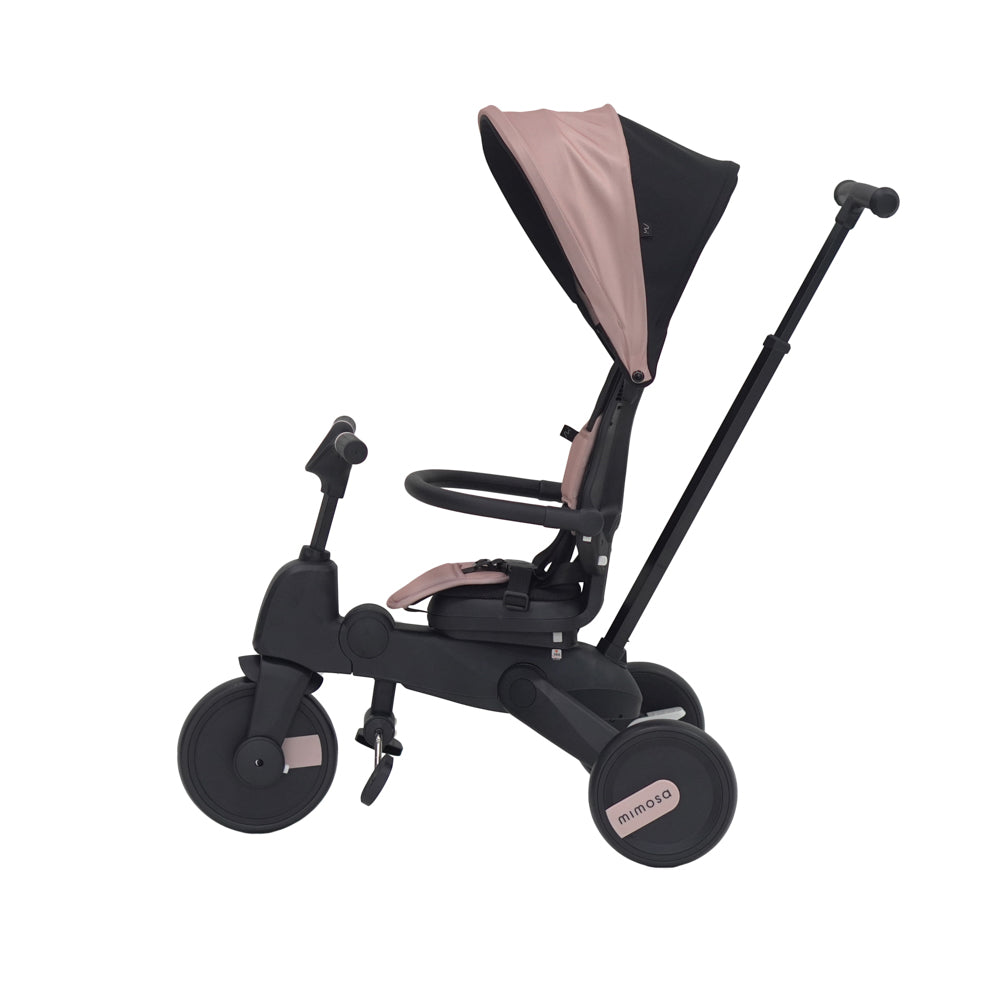 Mimosa 7-in-1 Trike