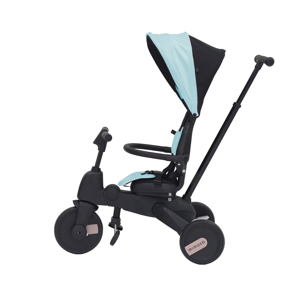 Mimosa 7-in-1 Trike