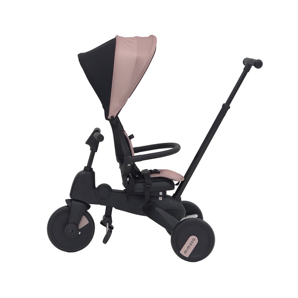 Mimosa 7-in-1 Trike