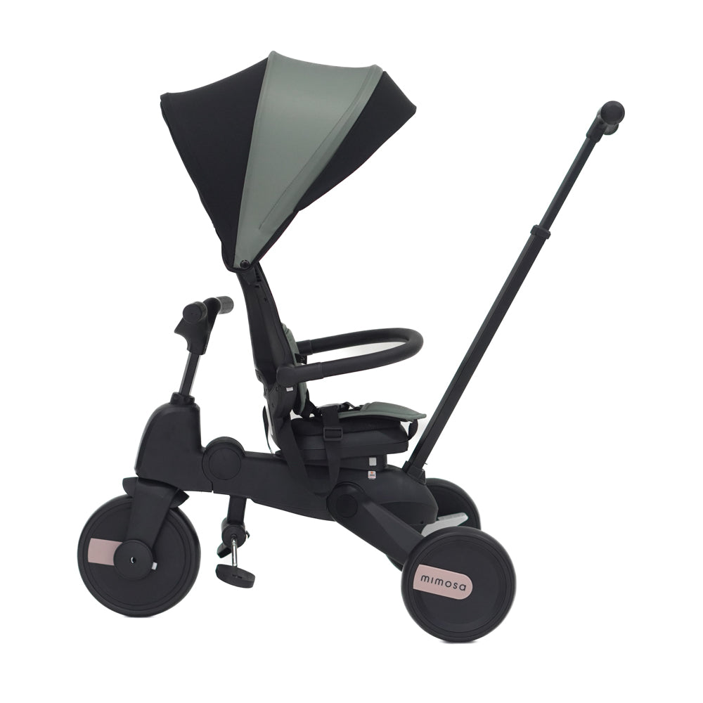 Mimosa 7-in-1 Trike