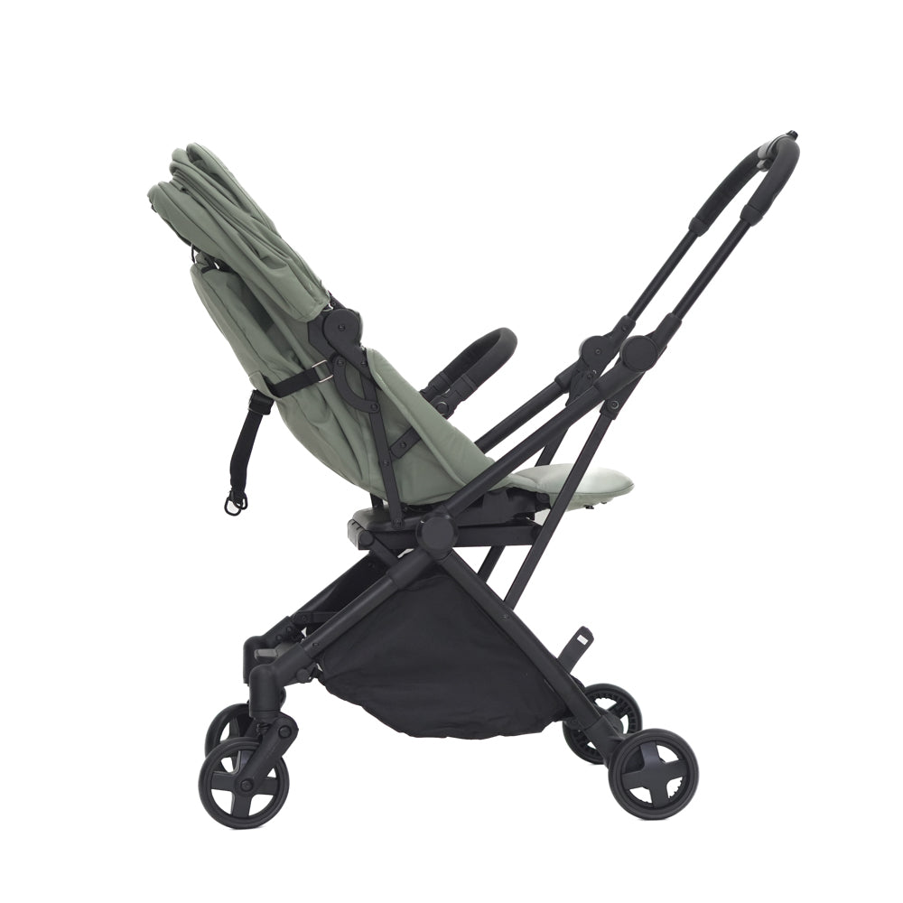 Mimosa Carousel Cruiser Stroller