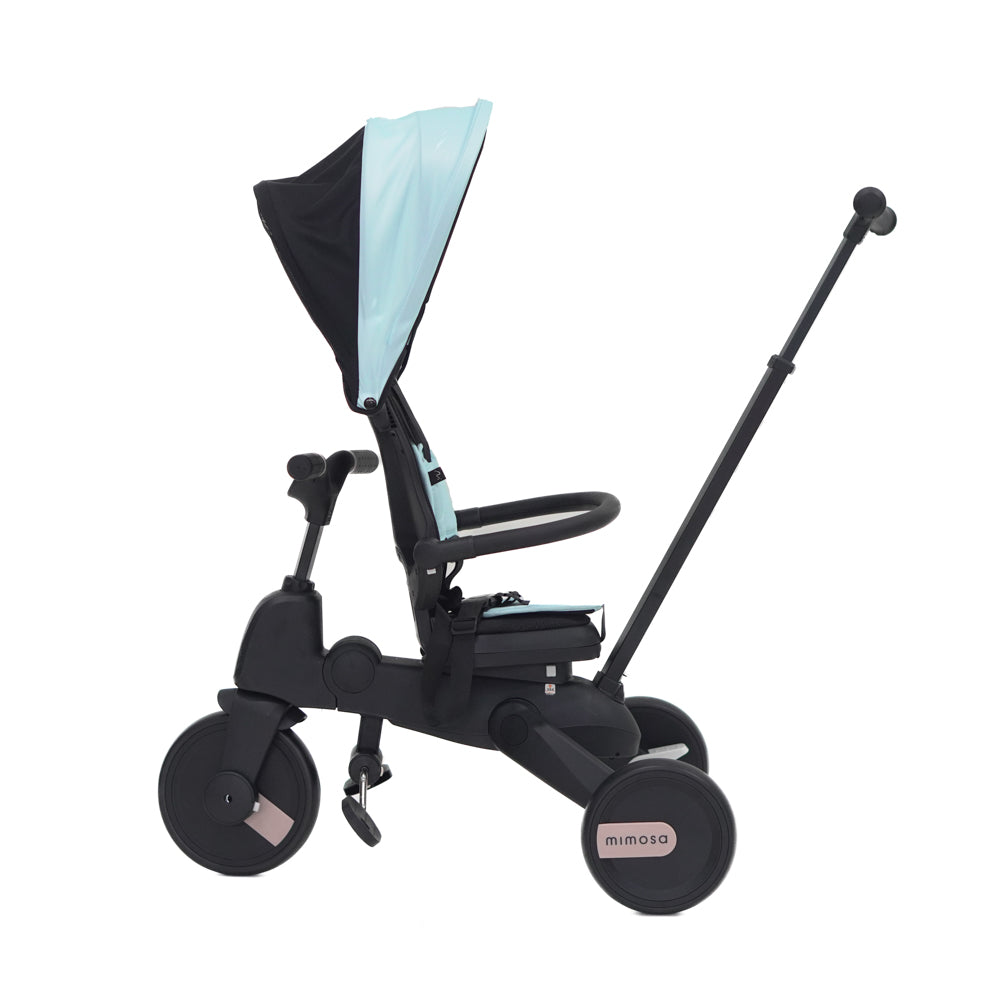 Mimosa 7-in-1 Trike
