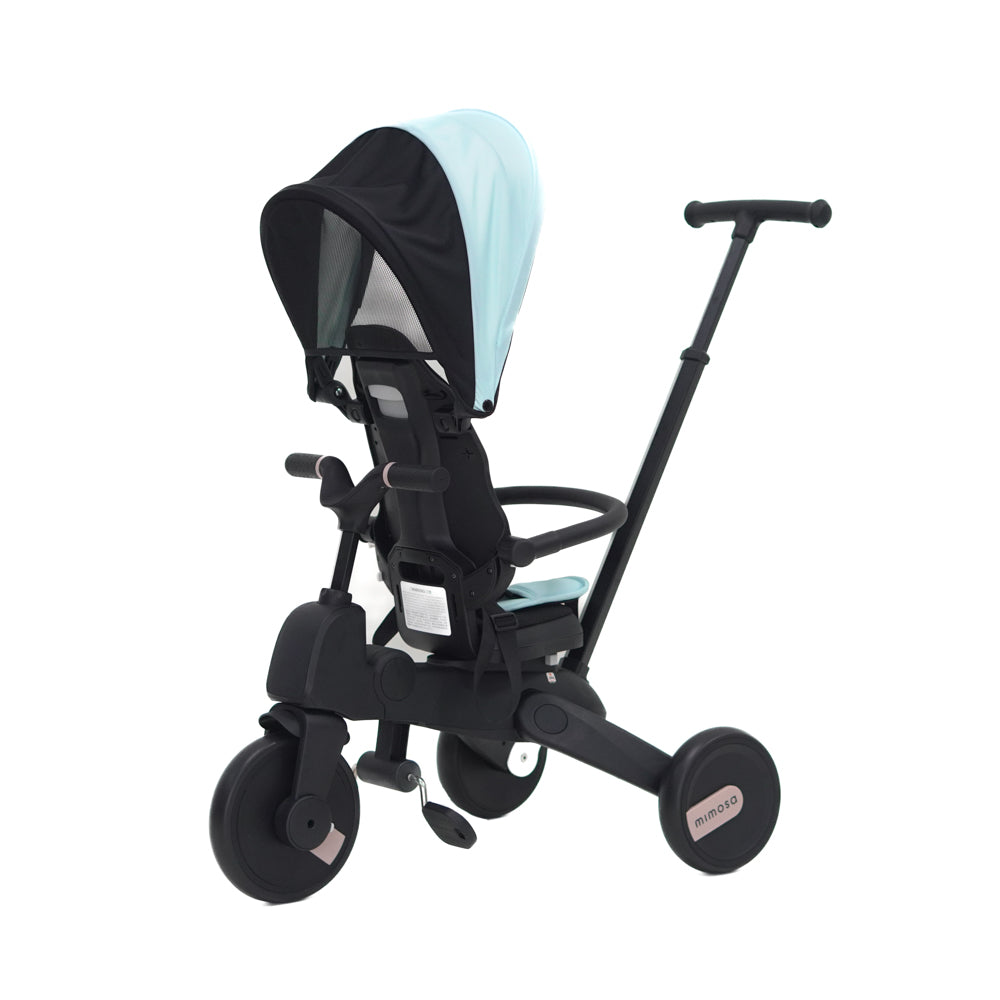 Mimosa 7-in-1 Trike
