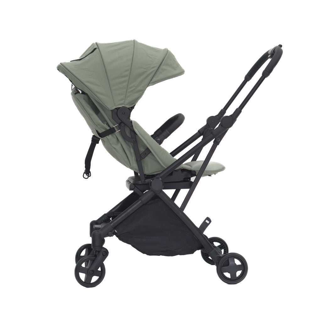 Mimosa Carousel Cruiser Stroller
