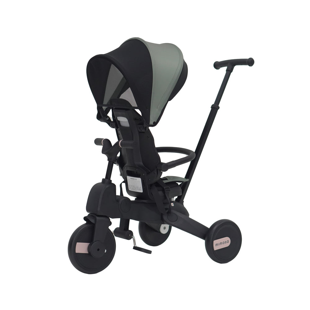 Mimosa 7-in-1 Trike