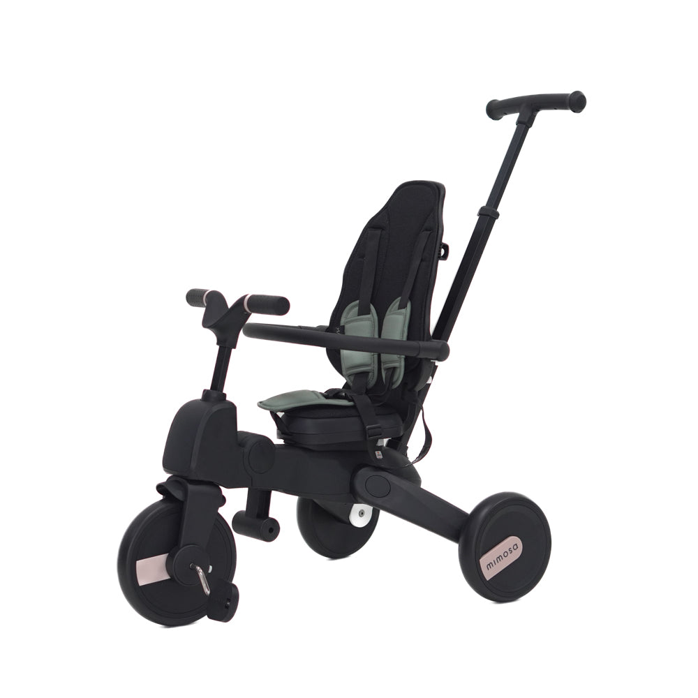 Mimosa 7-in-1 Trike