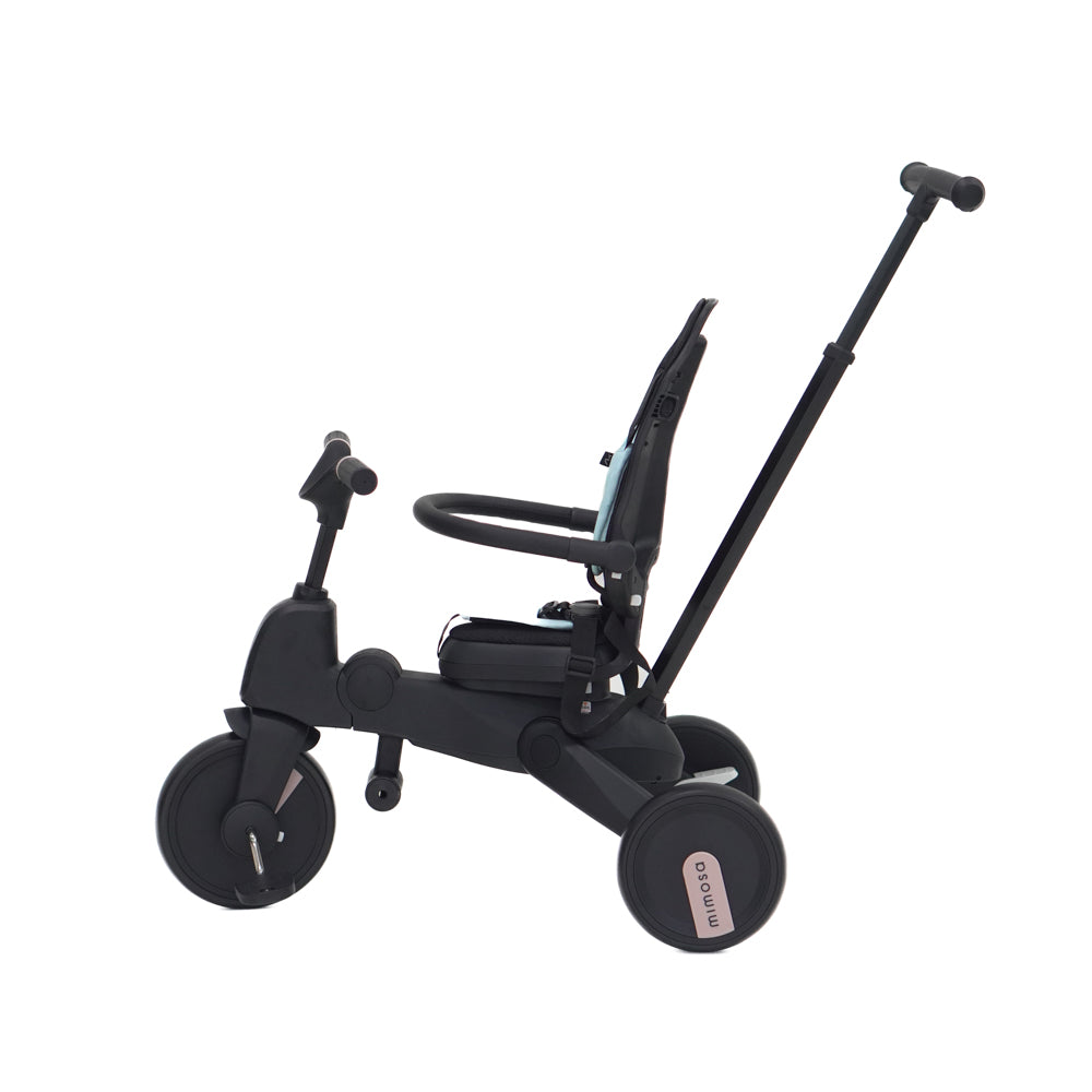 Mimosa 7-in-1 Trike