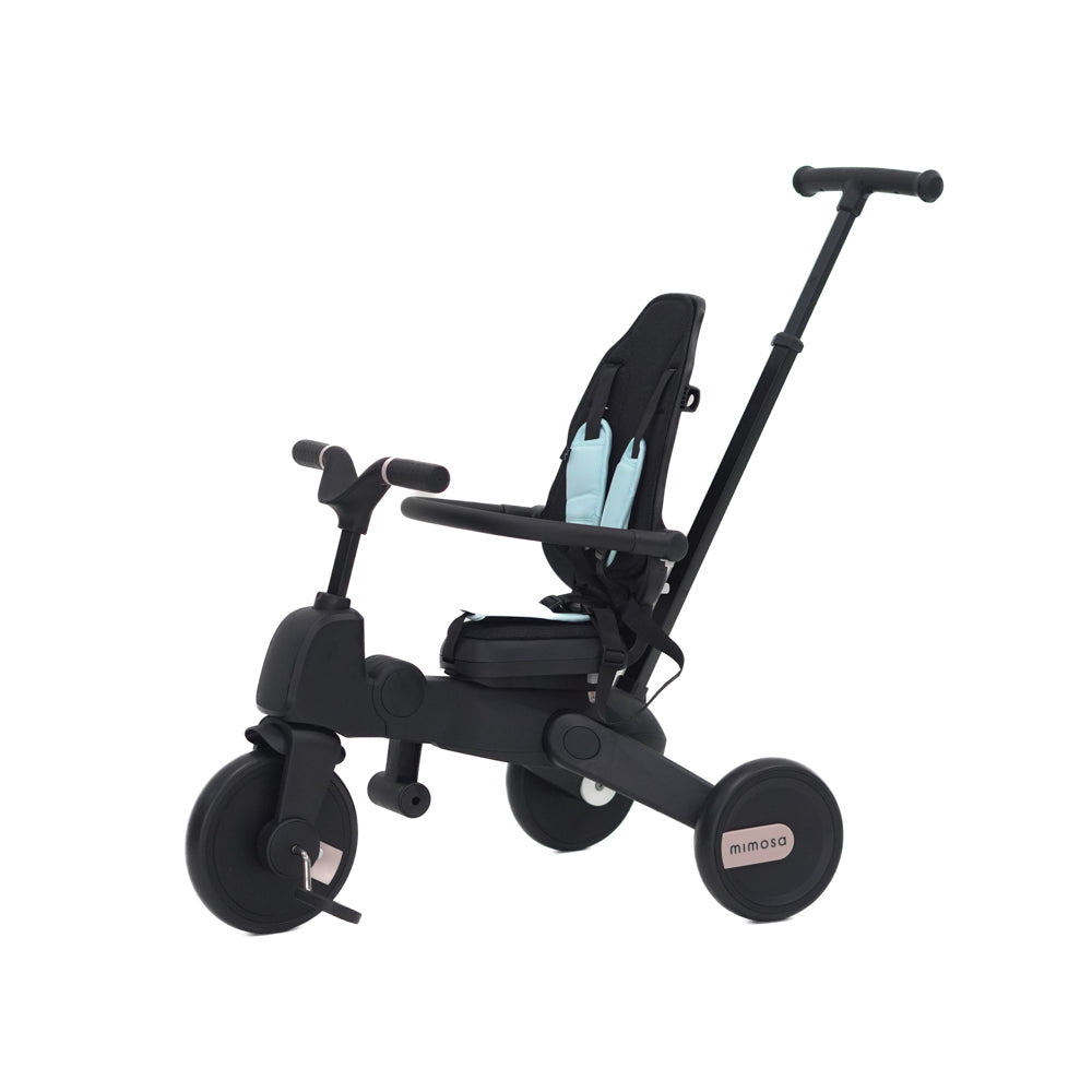 Mimosa 7-in-1 Trike
