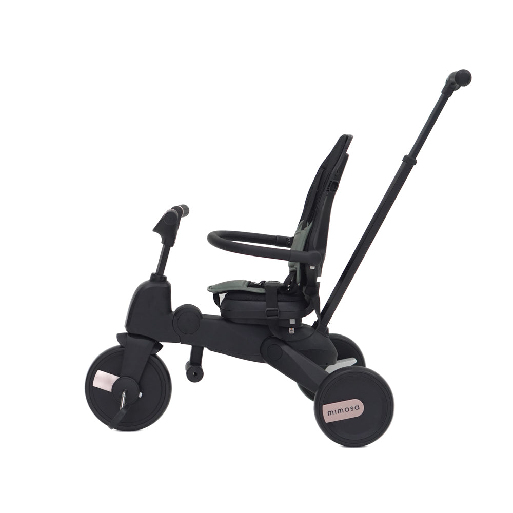 Mimosa 7-in-1 Trike