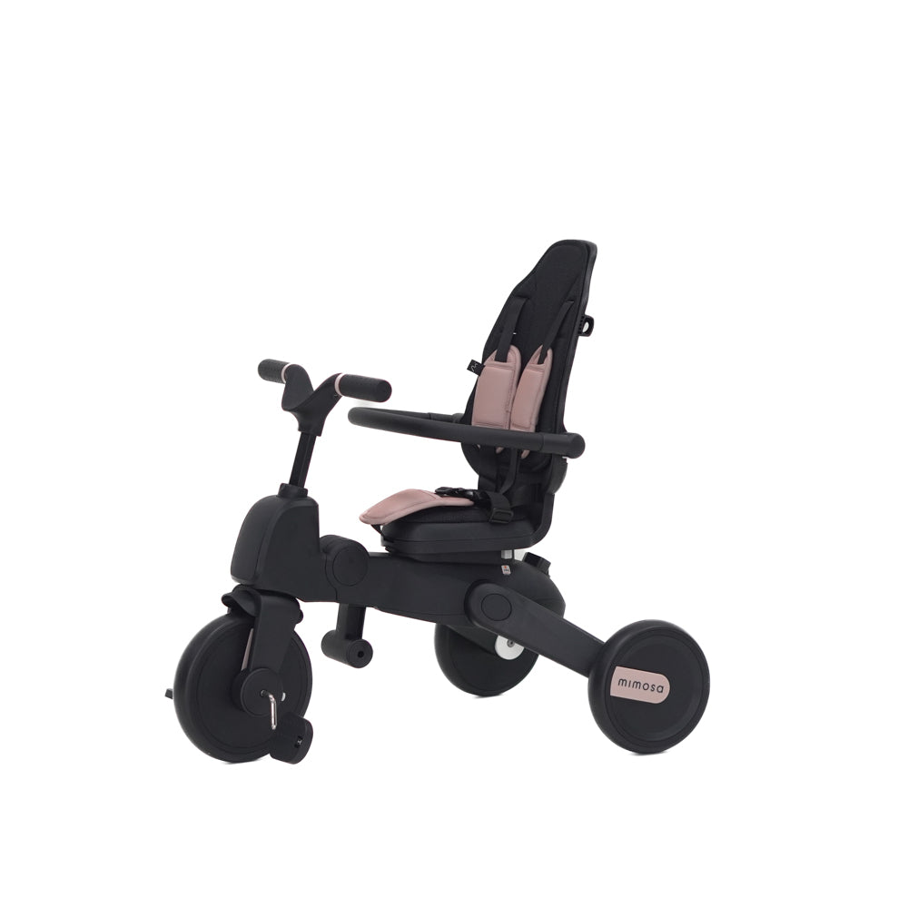 Mimosa 7-in-1 Trike