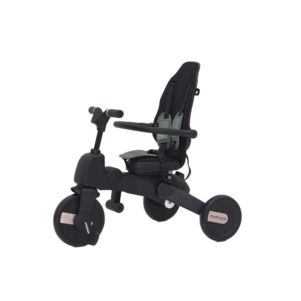 Mimosa 7-in-1 Trike