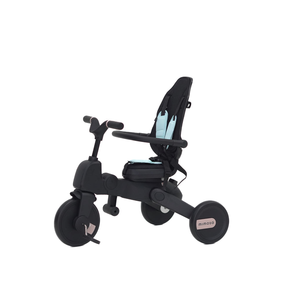 Mimosa 7-in-1 Trike