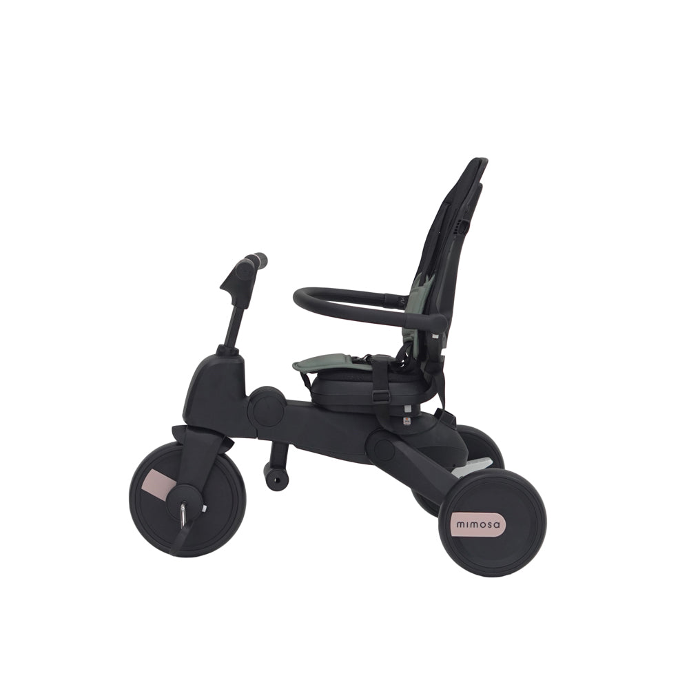 Mimosa 7-in-1 Trike