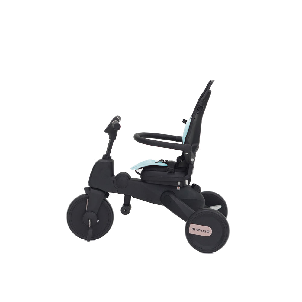Mimosa 7-in-1 Trike