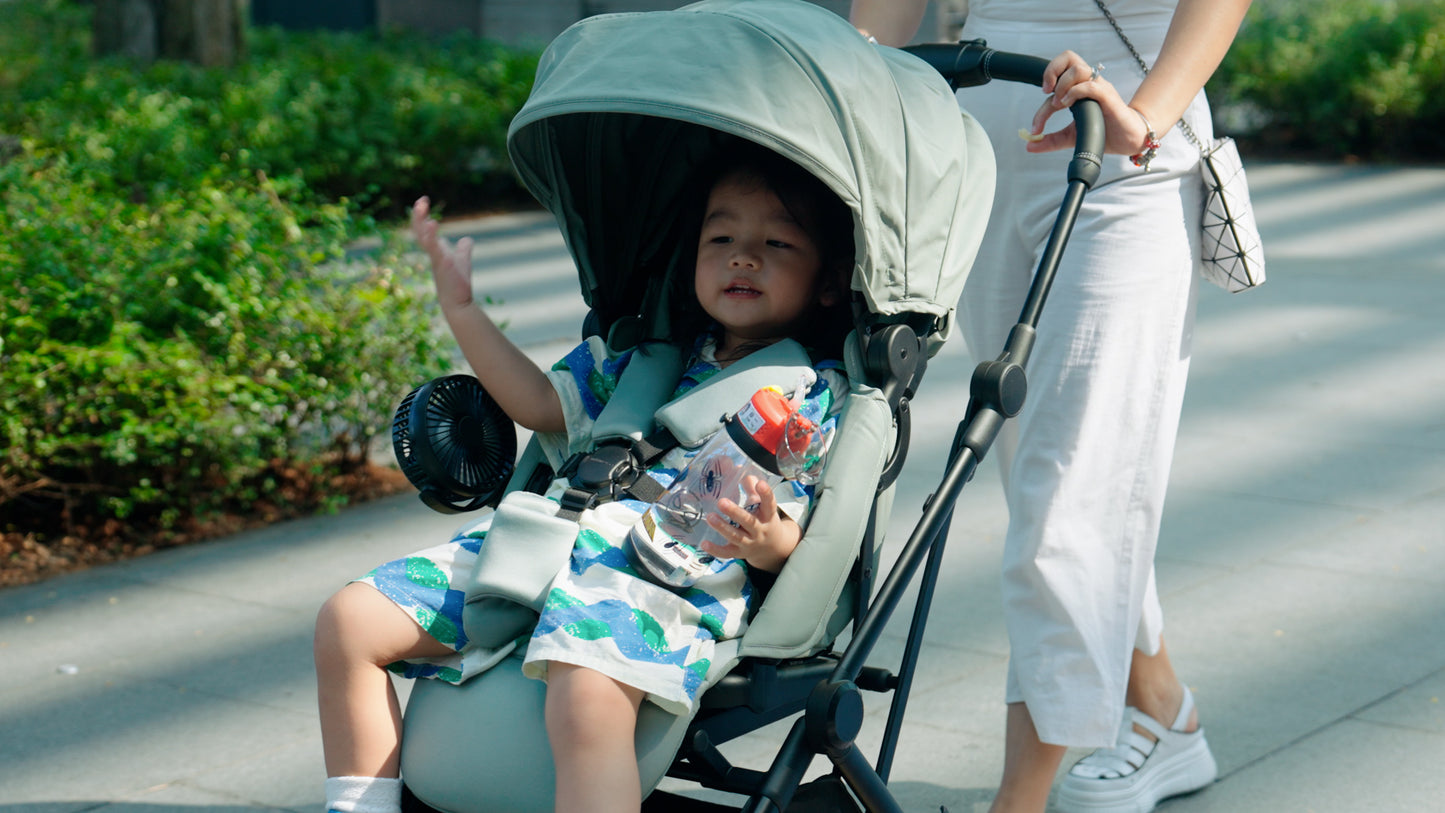 Mimosa Carousel Cruiser Stroller