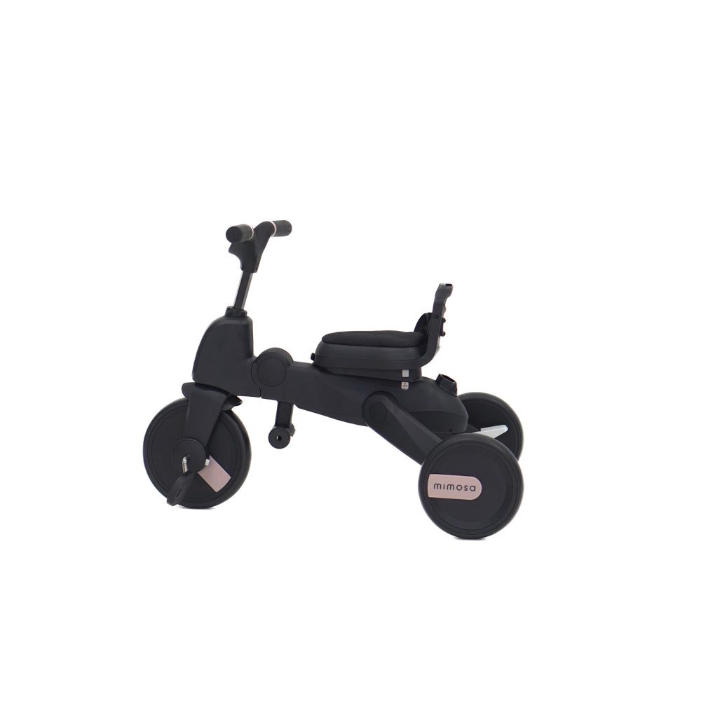 Mimosa 7-in-1 Trike