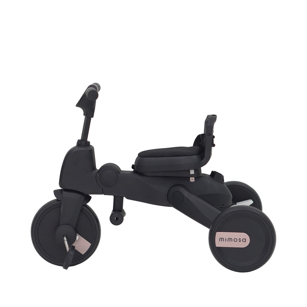 Mimosa 7-in-1 Trike