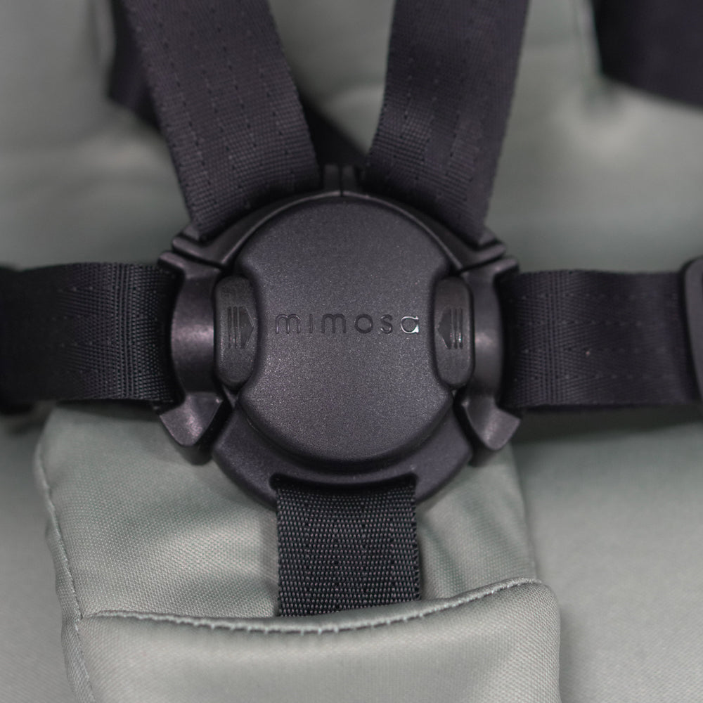 Mimosa Carousel Cruiser Stroller