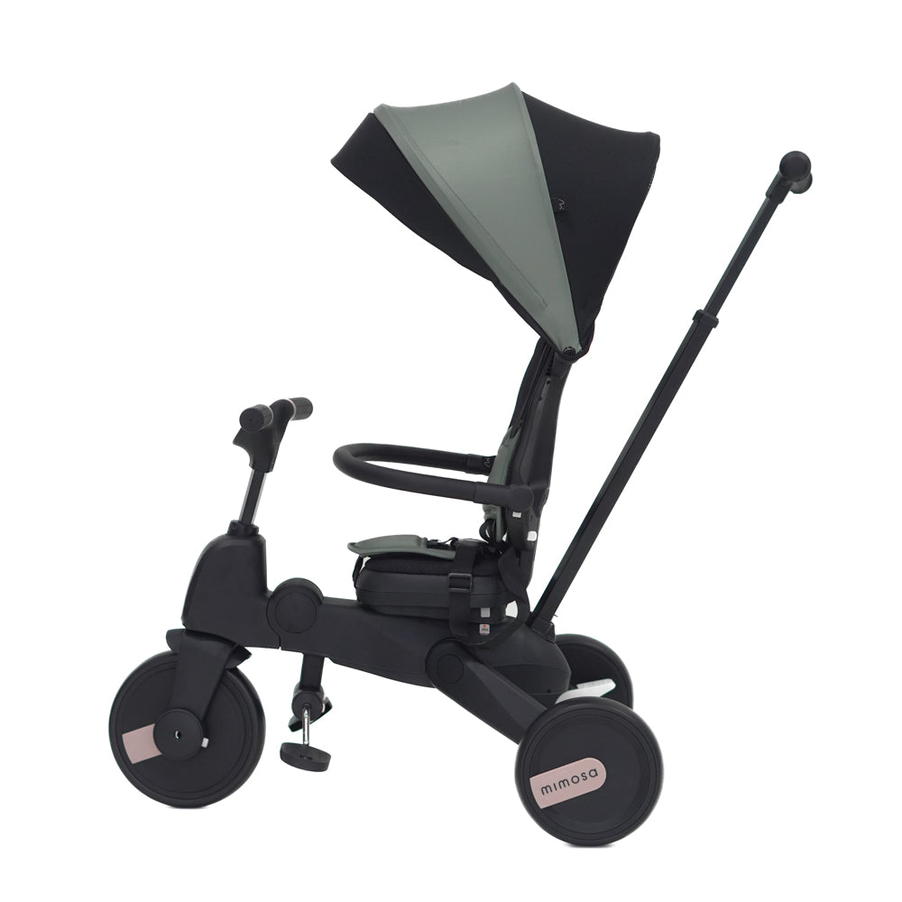 Mimosa 7-in-1 Trike