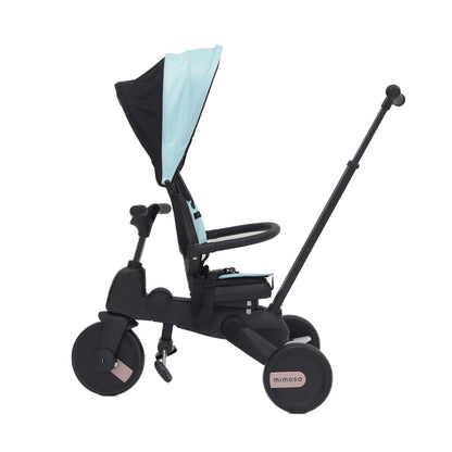 Mimosa 7-in-1 Trike