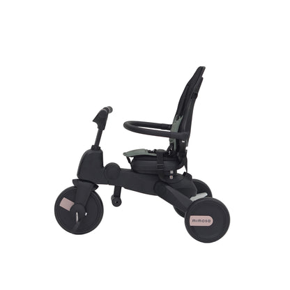 Mimosa 7-in-1 Trike