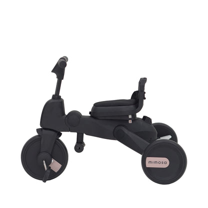 Mimosa 7-in-1 Trike