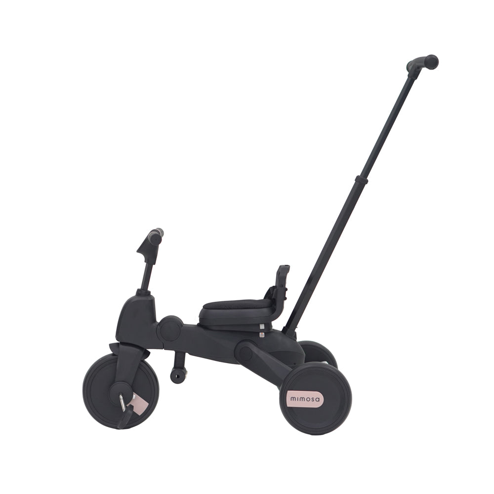 Mimosa 7-in-1 Trike